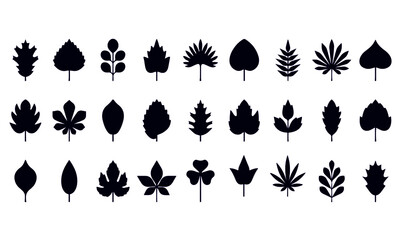  Leaves icon set vector design 