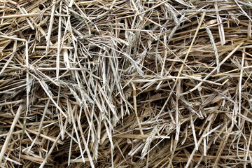 Texture old weathered dark straw lies in a heap