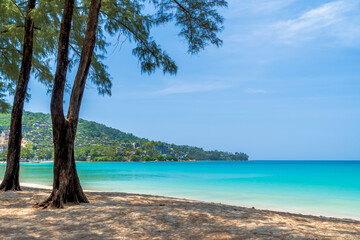 Kamala Beach with crystal clear water and casuarina or pine tree, famous tourist destination, Phuket, Thailand