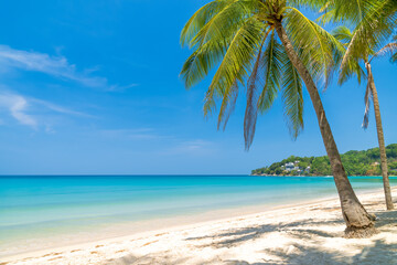 Kamala Beach with crystal clear water and coconut tree, famous tourist destination, Phuket, Thailand