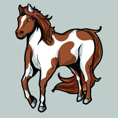 american paint horse horses riding present design vector illustration for use in design and print poster canvas