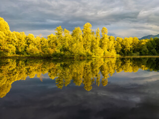 summer trees reflected in water in the evening sun