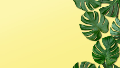 Fototapeta na wymiar Tropical green monstera leaves on yellow floor. Summer background concept