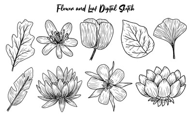 Flower and Leaf Digital Sketch