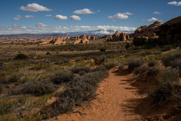 Snow Covered La Sal Mountains From The Sandy Desert of Arches