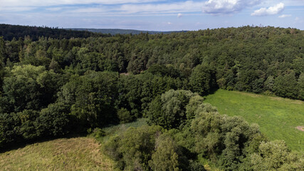 Fototapeta na wymiar Drone Aerial Shot over Fields and Forest