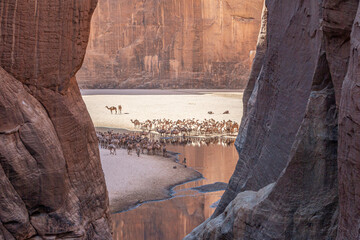 The Guelta d'Archei Gorge located in the Ennedi Plateau, Chad, Africa