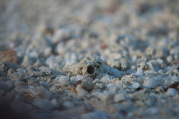 Glimpses of Thailand