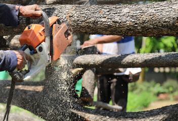 Closeup of old orange chain-saw using by elderly lumberman to cut the tree in sunny day. 