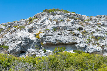 Grand Turk Island Eroded Cliff