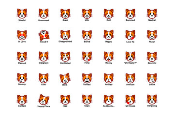 Vector Emoticon Cartoon Emoji Shaped Cat Face .Big set of emoticon smile icons.