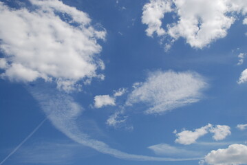 Cumulus and cirrus clouds in the sky. Against the background of a light blue sky, various types of...