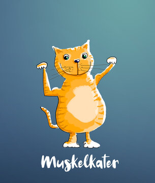 Muskelkater, Kater Katze mit Muskeln zeigt seinen Bizeps, Bodybuilder, joggen, wandern, Sport