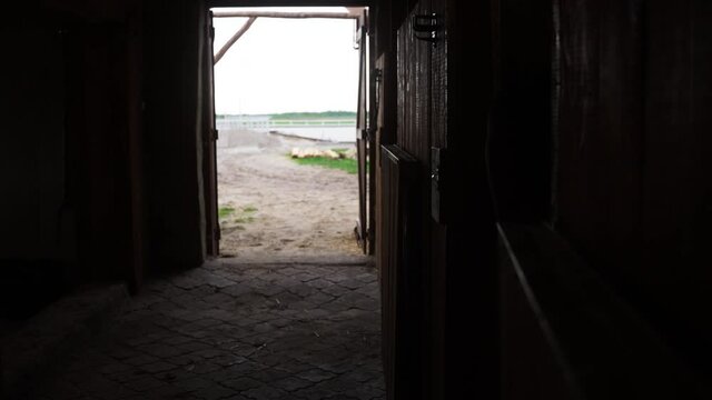 Silhouette of Horse looking out from the window of the stall. Head of Horse closeup view. Horse stable with a row of windows. Ranch with a wooden fence can be seen in the background.