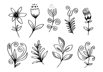 a collection of hand-drawn flower images such as bellflower, chrysanthemums, sunflowers, cotton flowers, and tropical leaves