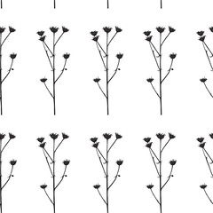 Seamless pattern. Vector illustration with wildflower. Doodle sketch.