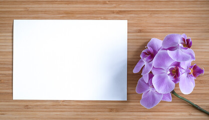 blank invitation or greeting card in a composition with a purple orchid on a exotic wooden background