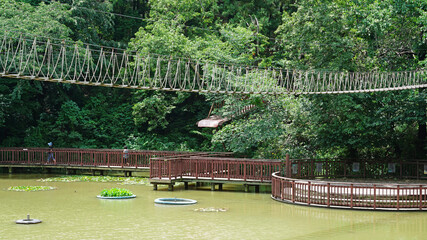 호수 위의 구름다리