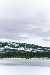 Wunderschöne gefrorene Seelandschaft mit Wald und Hügeln im Hintergrund