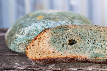 A slice of bread covered with mold on a wooden surface