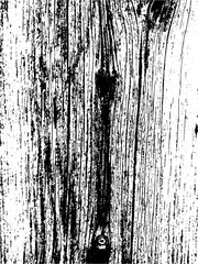 Vector wood wall texture. Illustration for backgrounds