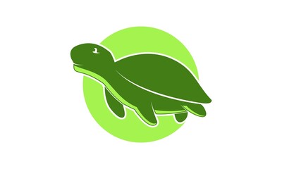 Cute turtle icon logo