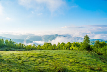 field covered with grass near the forest and mountains in the fog with blue sky at sunrise on a summer day. Landscape of mountains in the fog.
