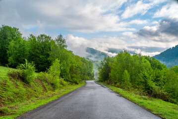 Fototapeta na wymiar road leading to the mountains and forest which are covered with morning fog and blue sky in the clouds.