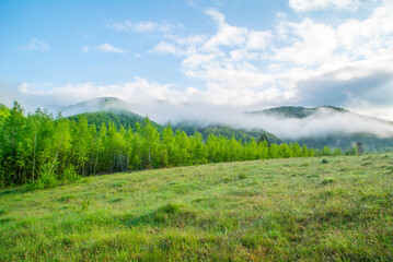 field near the forest and mountains covered with morning fog. beautiful nature