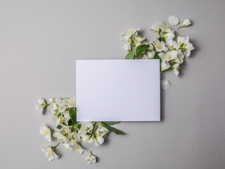 Composition Of Green Leaves And flowers of jasmine  With A Blank Sheet For Text On A gray   Paper Background. Natural Layout For Postcard. Flat Lay