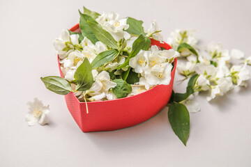 Bouquet of jasmine in gift box. Valentins day. Top view with copy space for a text. Flowers Congratulation Decorative Frame.