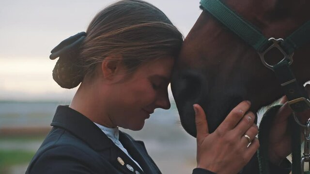 Horse owner touching her face to her seal brown horse. Expressing her love for her horse and stroking the stallion. Love for pets. Horse Love. 