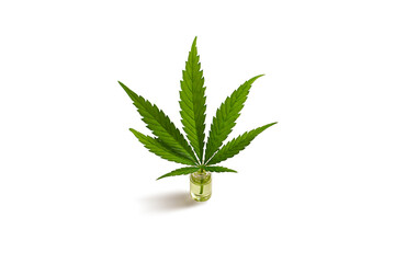 Cannabis oil bottle and marijuana leaf on white background. Isolated