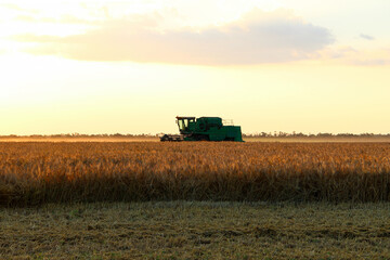 Combine harvester on an agricultural field against the backdrop of the setting sun