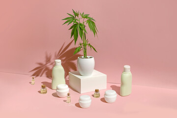 Marijuana bush in a white pot and hemp cosmetic products on a pastel background.