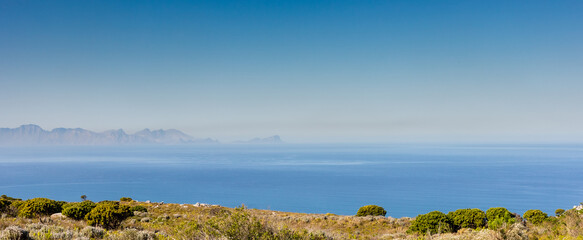 Coastal mountain landscape with fynbos flora in Cape Town