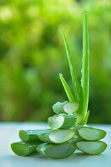 Fresh aloe vera leaves with soft green background.