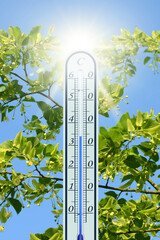 Thermometer 131