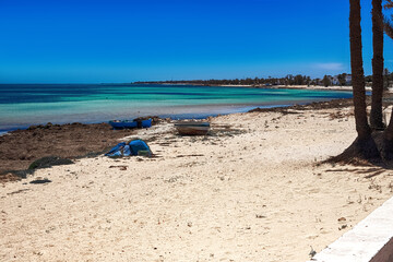 A beautiful view of the Mediterranean coast with birch water, a beach with white sand and a green palm tree.