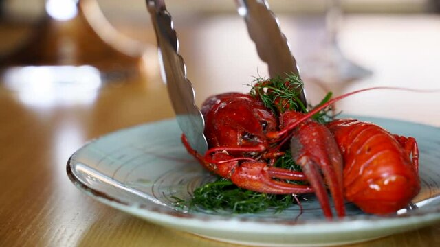 Chef serving luxury sea food dish and puts boiled crawfish from pot to plate with tongs. Steamed lobster seafood with dill in a cauldron. Boiled red crayfish steaming in a pan. Steam in slow motion.