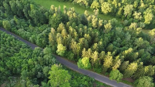 Clip Landstra&szlig;e mit B&auml;umen und Auto von oben