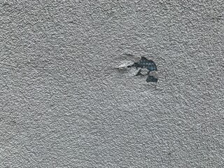 Concrete wall can be unique and ideal background and very popular at loft style design.