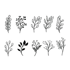 Set of floral elements. Flower, Hand sketched vector vintage elements