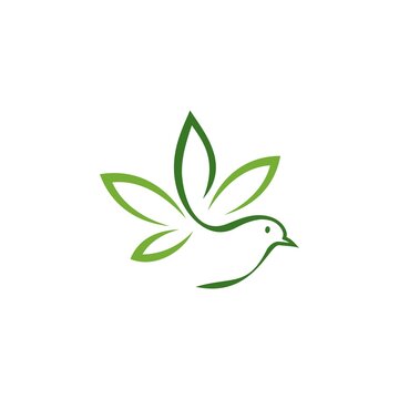 bird, marijuana leaf, vector