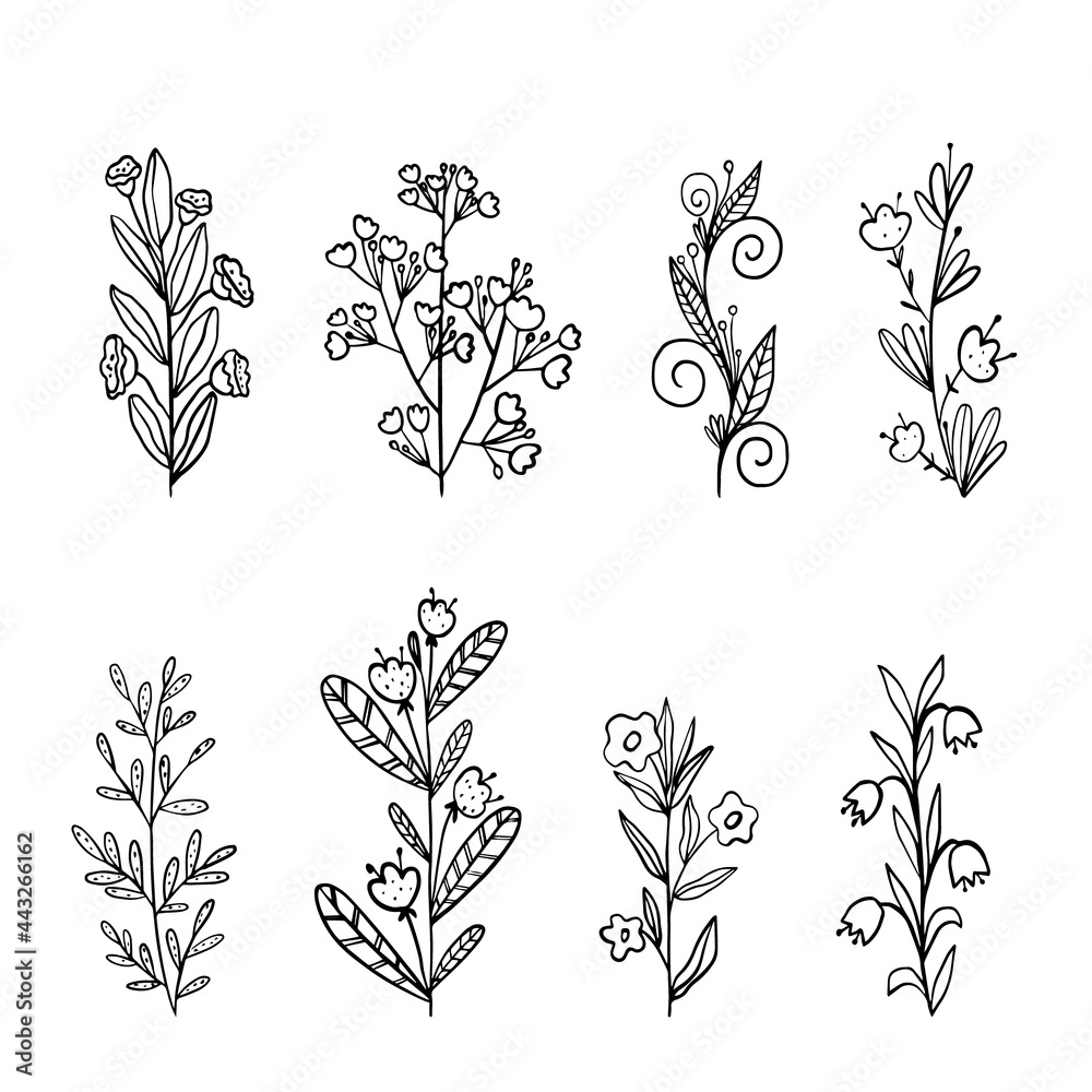 Wall mural Hand drawn vector illustration. Set of simple flowers, grass, twigs. Black lines on white background, sketch, Doodle style