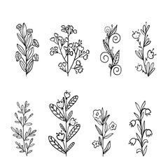 Hand drawn vector illustration. Set of simple flowers, grass, twigs. Black lines on white background, sketch, Doodle style