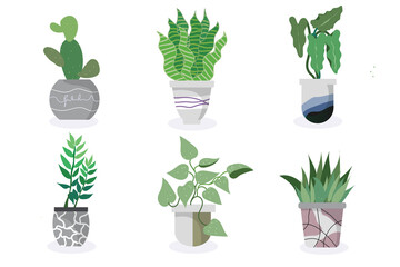 Home plants in flower pot. Houseplants isolated. Trendy hygge style, urban jungle decor. Hand drawn. Set collection.