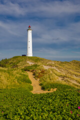 Fototapeta na wymiar lighthouse Lyngvig Fyr on the coast of denmak