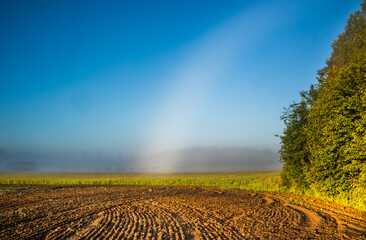 Cool, misty morning in the summer. Sunrise landscape with a mist. Summertime scenery of Northern Europe.