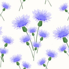 Cornflowers on a white background. Drawn seamless pattern. - 443269144